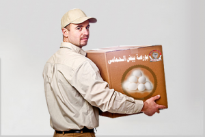 توزيع البيض - بورصة البيض الحمامى للبيض