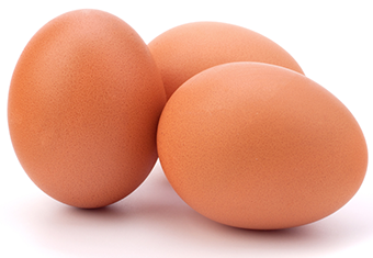 بيض احمر بورصة البيض بيض الحمامى